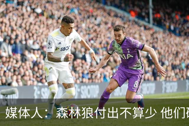 媒体人：森林狼付出不算少 他们确实需要变化 之前的阵容到上限了